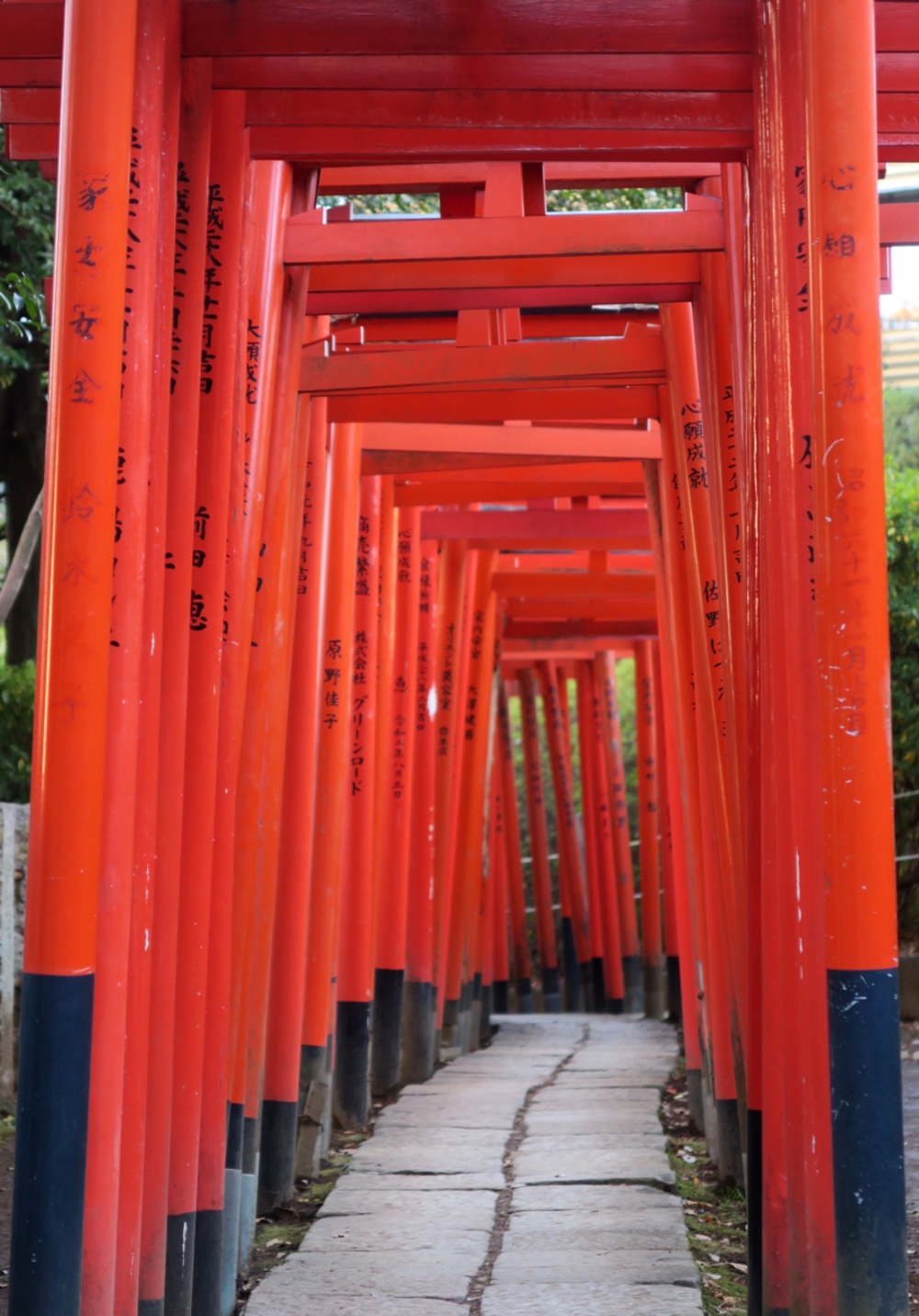 谷中ラン＆ウォーク（通訳案内士オススメ）の写真9