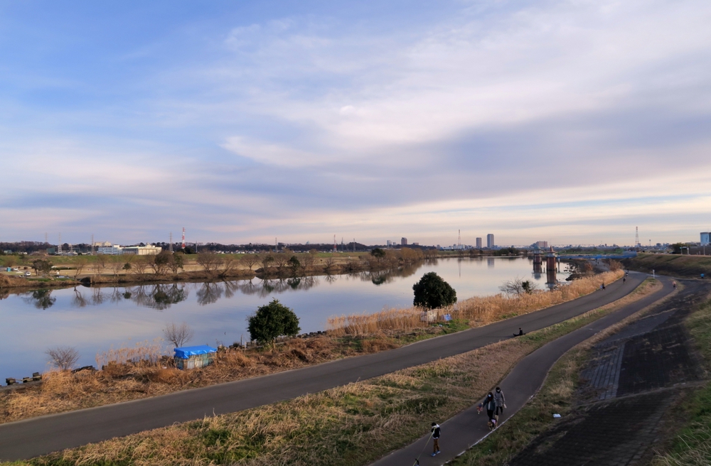 柴又観光ラン＆ウォークの写真3