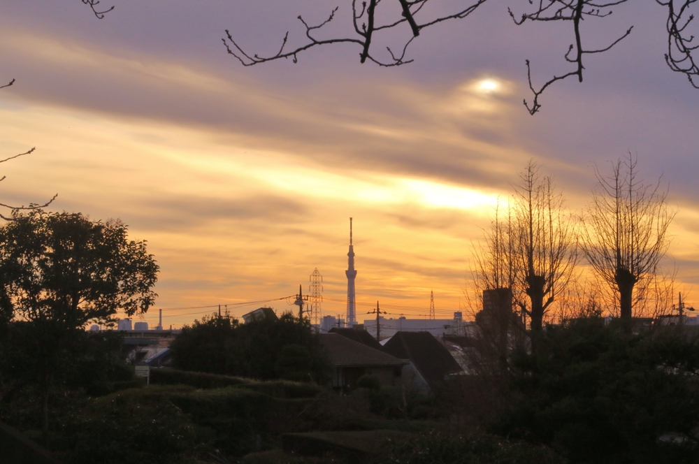 柴又観光ラン＆ウォークの写真4