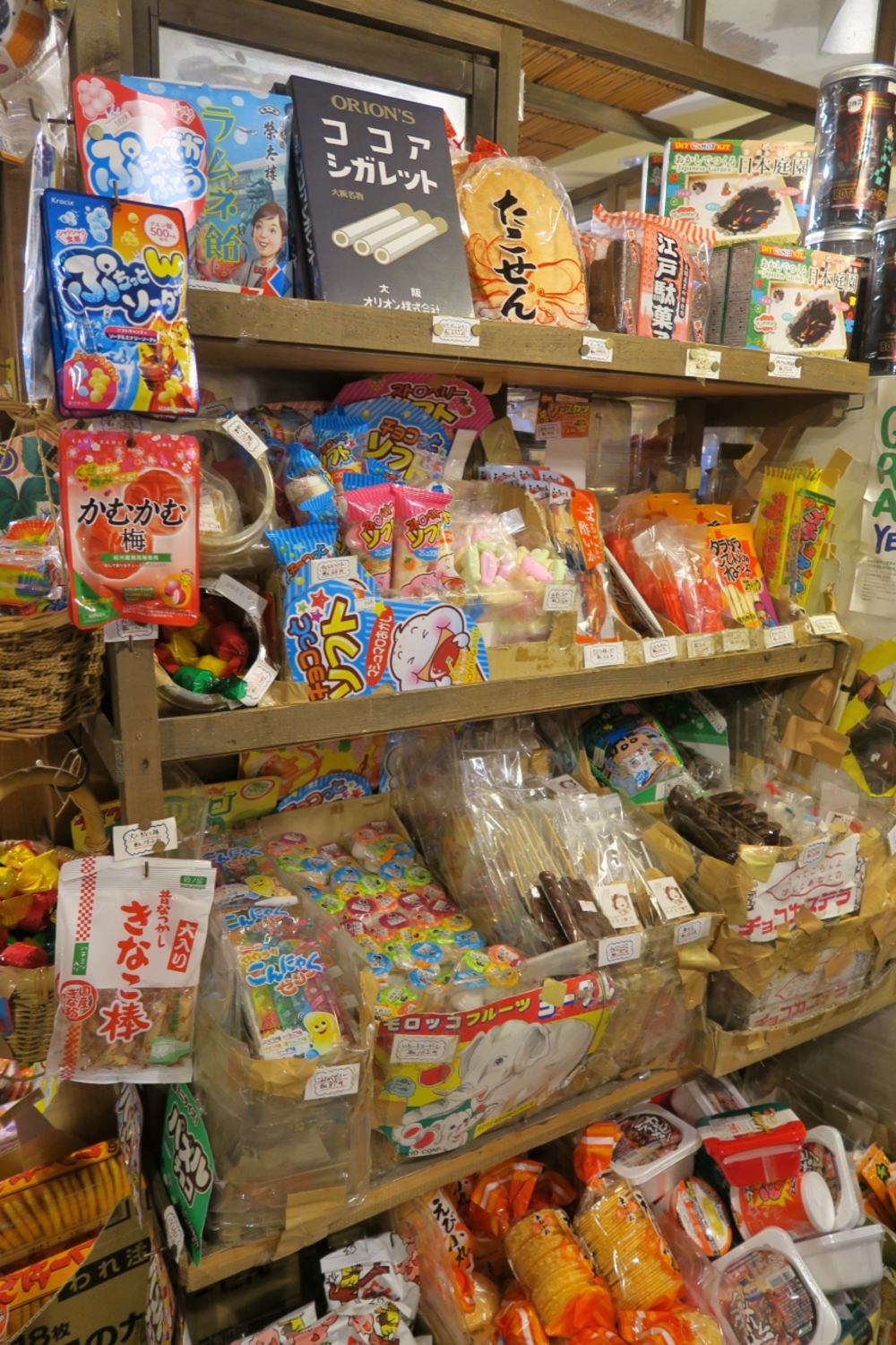 柴又観光ラン＆ウォークの写真9