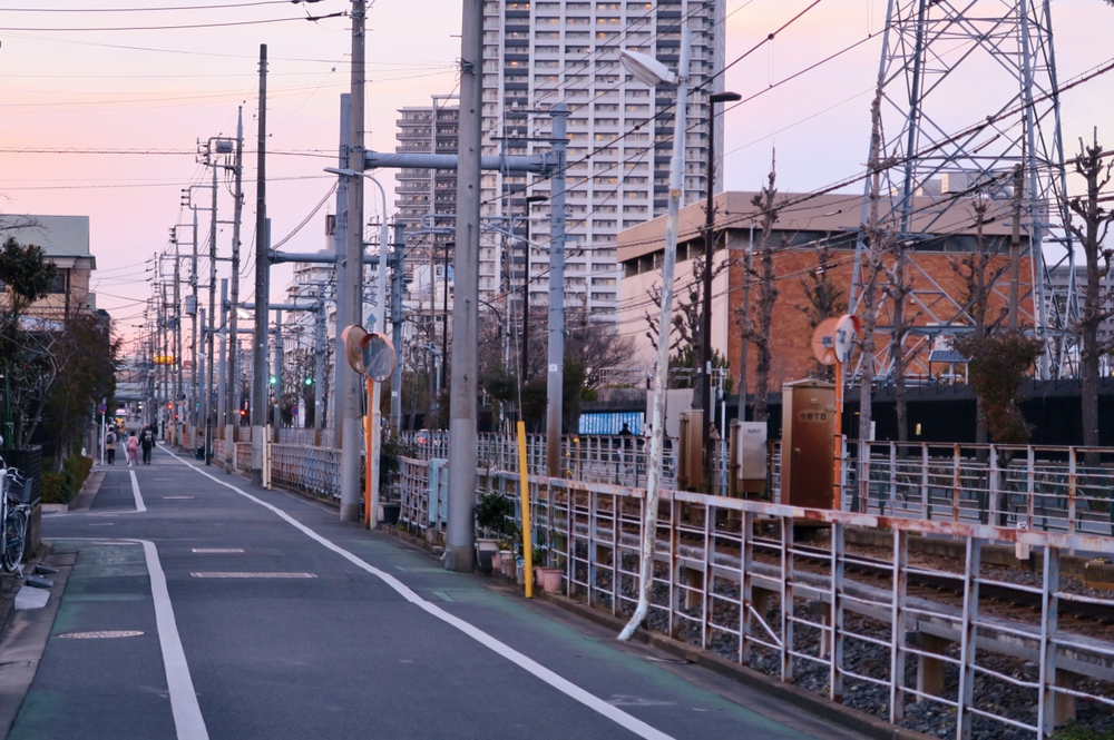 柴又観光ラン＆ウォークの写真12