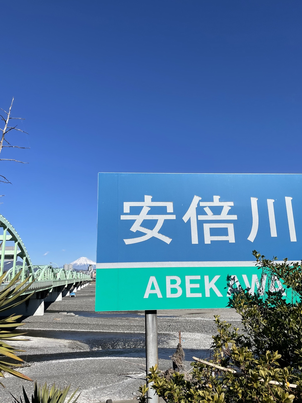 歌川広重と共にRUN 安倍川の写真5