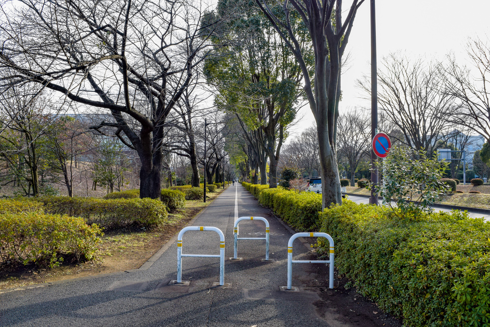 立川駅前スタートゴール10ｋｍの写真6
