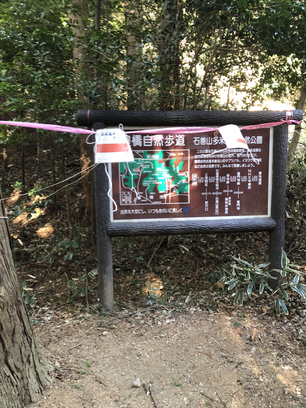 湖西連峰の稜線を巡りますの写真6