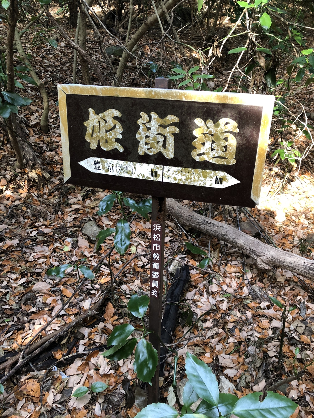 湖西連峰の稜線を巡りますの写真7