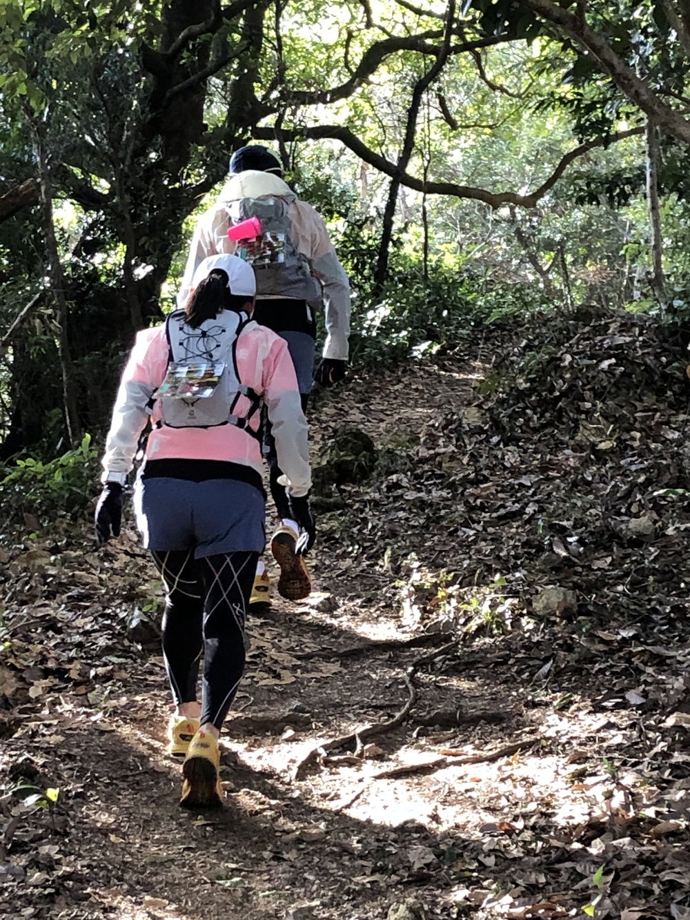 湖西連峰の稜線を巡りますの写真8