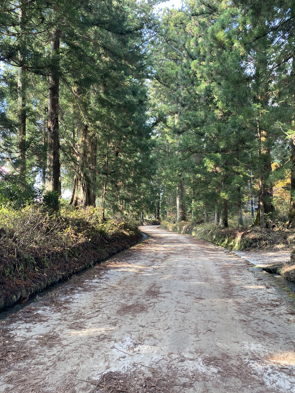日光道中（街道）ラン第七日目（今市〜鉢石）の写真3