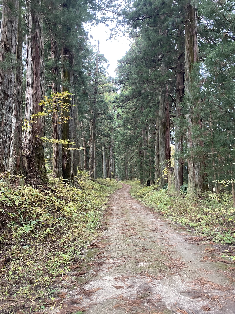 日光道中（街道）ラン第七日目（今市〜鉢石）の写真4