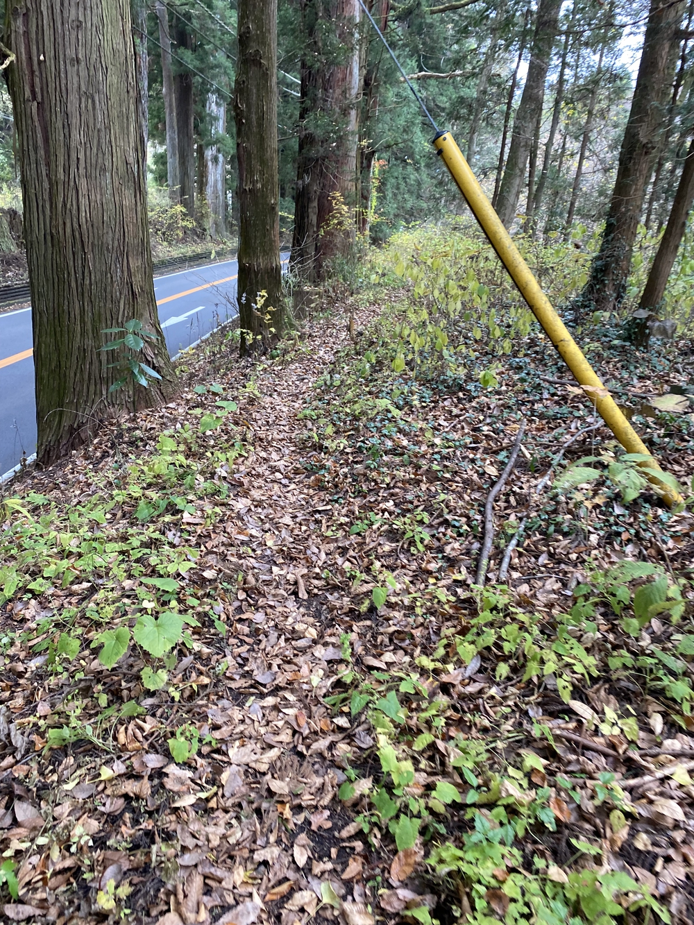 日光道中（街道）ラン第七日目（今市〜鉢石）の写真5