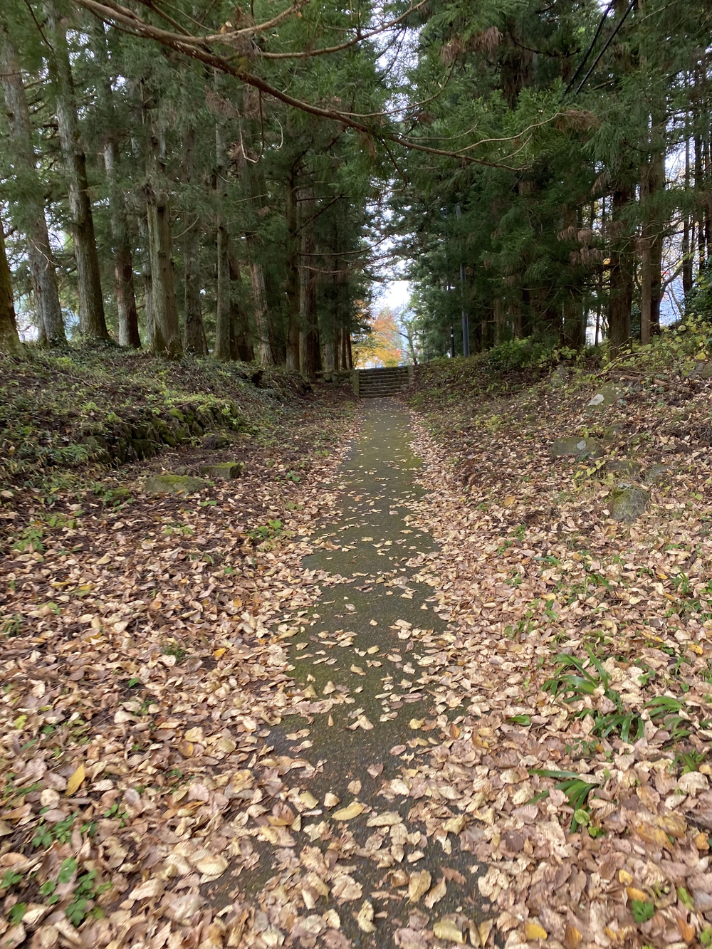 日光道中（街道）ラン第七日目（今市〜鉢石）の写真6