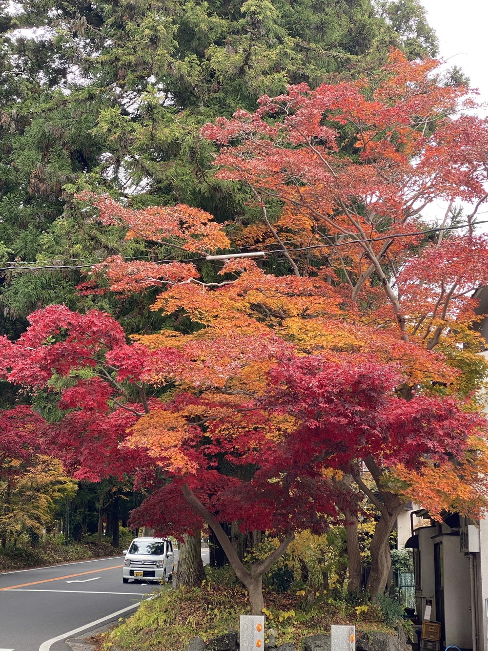 日光道中（街道）ラン第七日目（今市〜鉢石）の写真7
