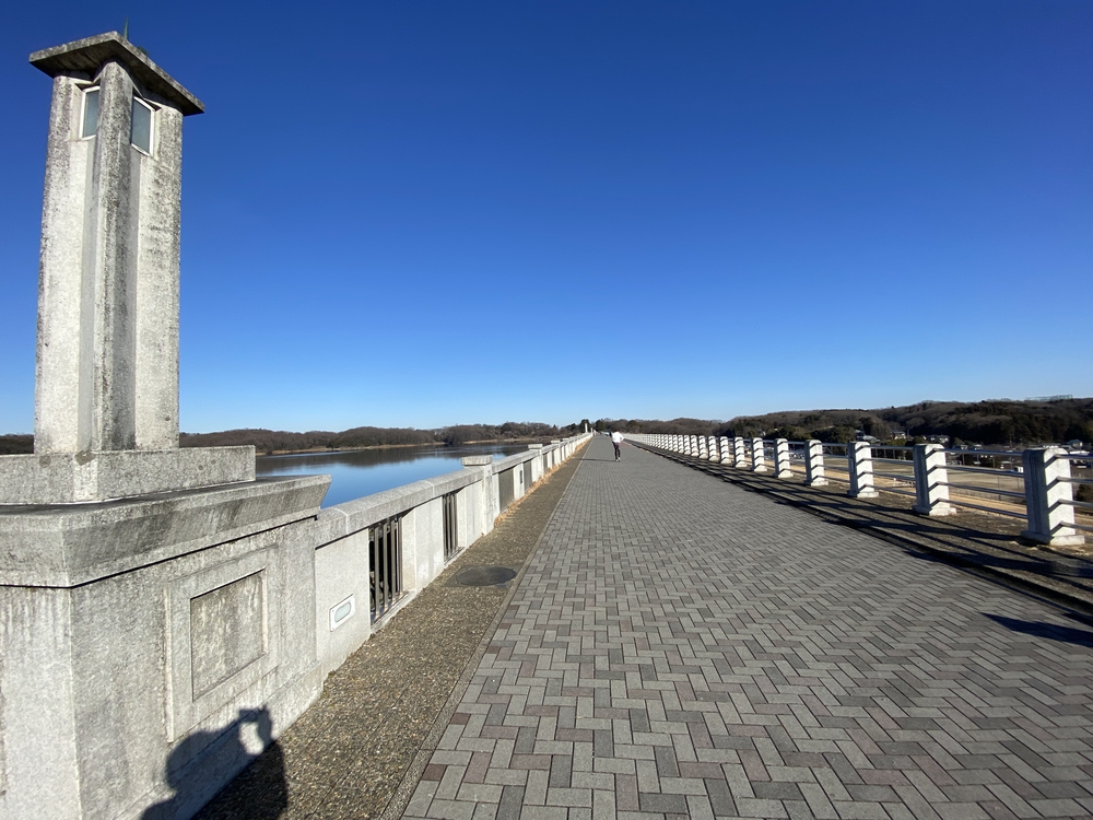 多摩湖、狭山湖を周遊。途中から森に。トレイル要素もありの写真5