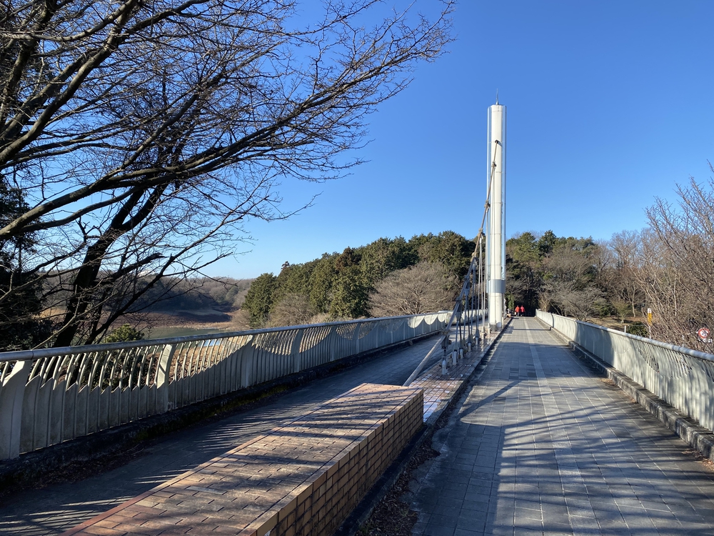 多摩湖、狭山湖を周遊。途中から森に。トレイル要素もありの写真6