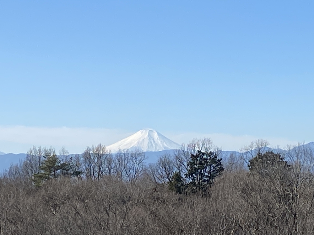 多摩湖、狭山湖を周遊。途中から森に。トレイル要素もありの写真7