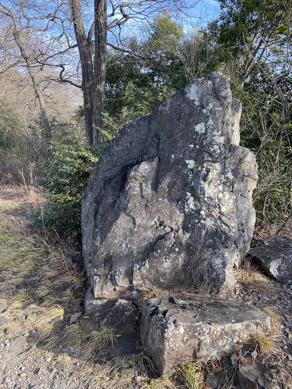 三毳山トレラン（ショートコース）の写真5