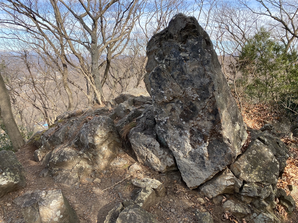 三毳山トレラン（ショートコース）の写真8