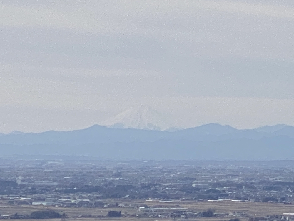 三毳山トレラン（ショートコース）の写真14
