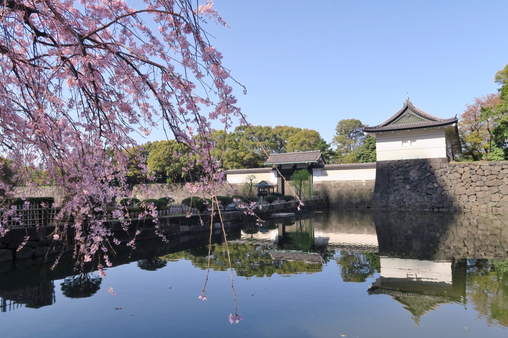 都内観光ハーフマラソン（帰りは水上バスで隅田川クルーズ）の写真5