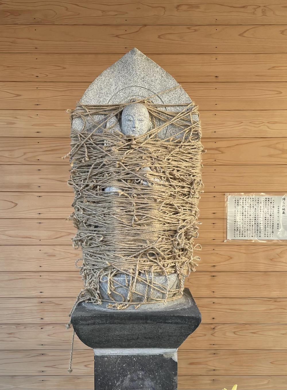 歌川広重と共にRUN 雑司ヶ谷の写真8