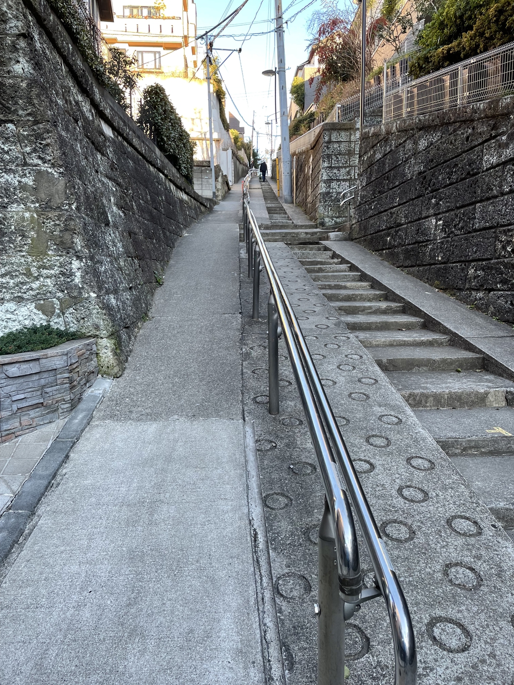 歌川広重と共にRUN 雑司ヶ谷の写真9