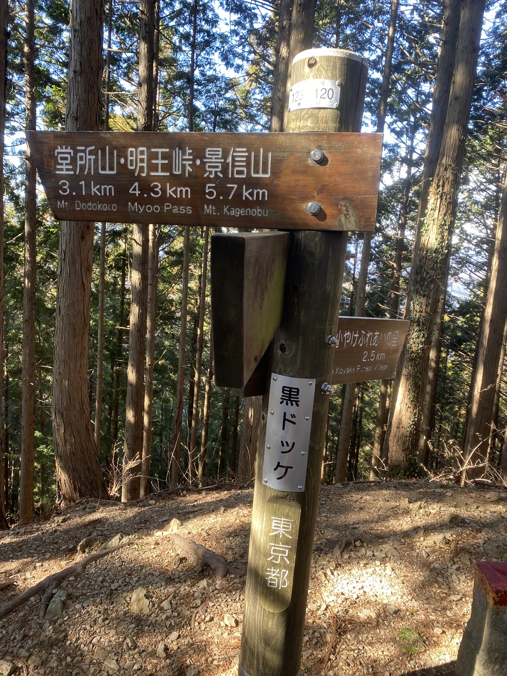 高尾山口駅から北高尾山陵、陣馬山経由で藤野駅の写真3