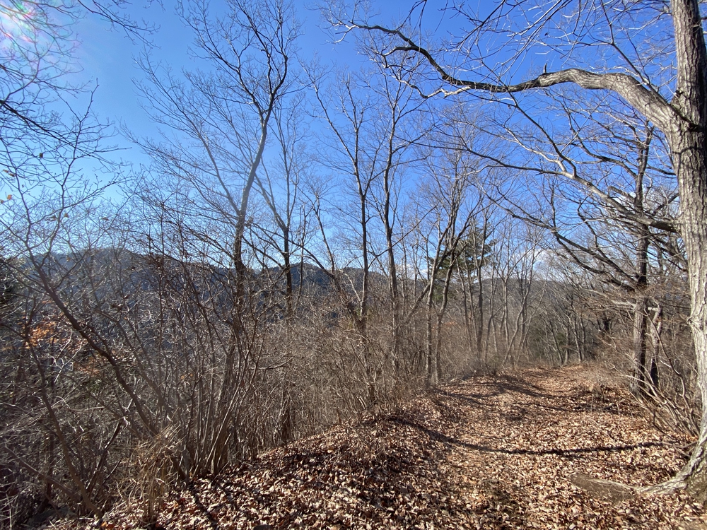 高尾山口駅から北高尾山陵、陣馬山経由で藤野駅の写真4