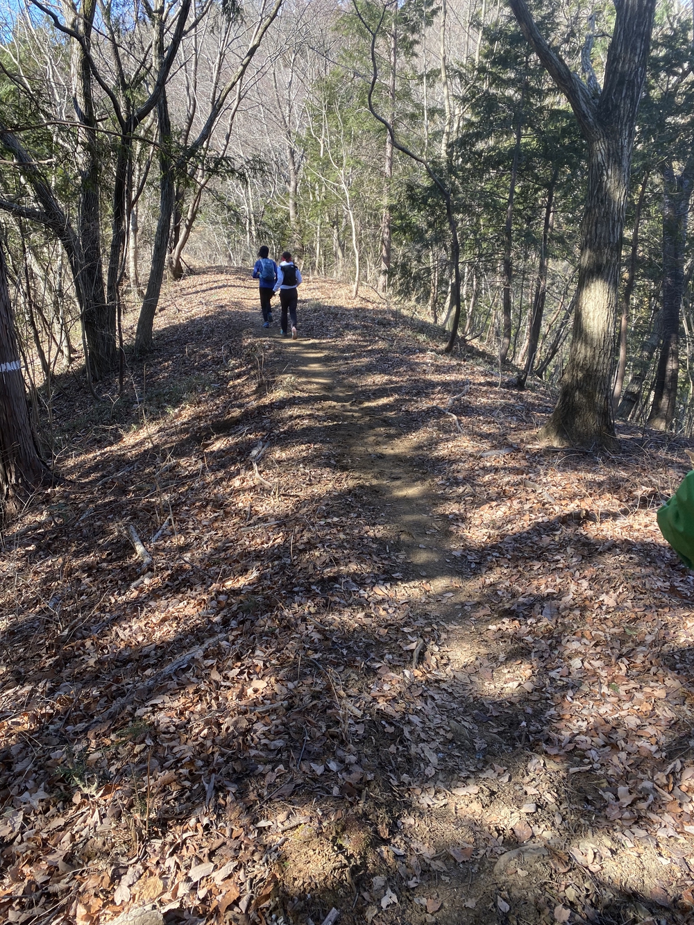 高尾山口駅から北高尾山陵、陣馬山経由で藤野駅の写真5