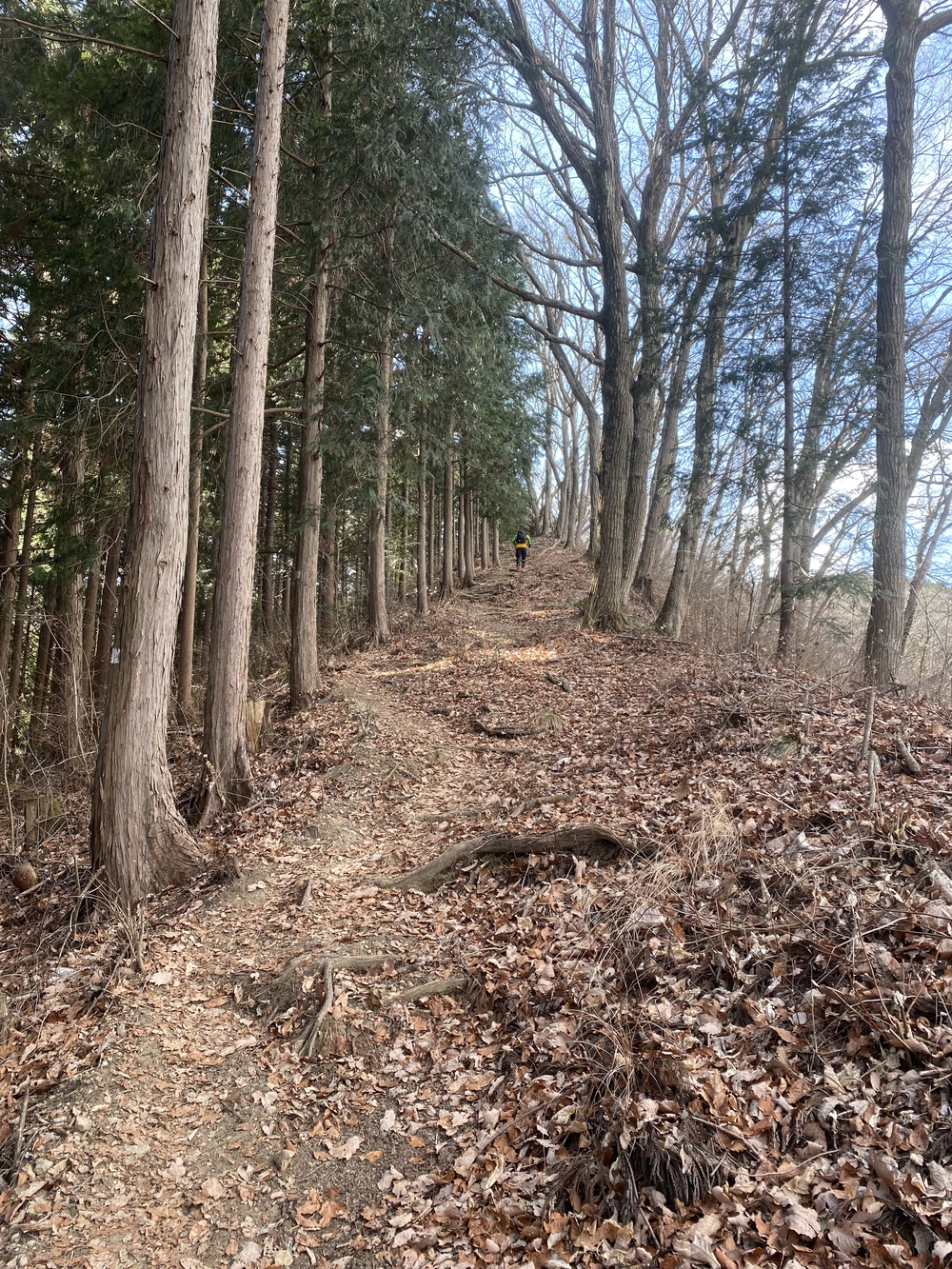 高尾山口駅から北高尾山陵、陣馬山経由で藤野駅の写真6