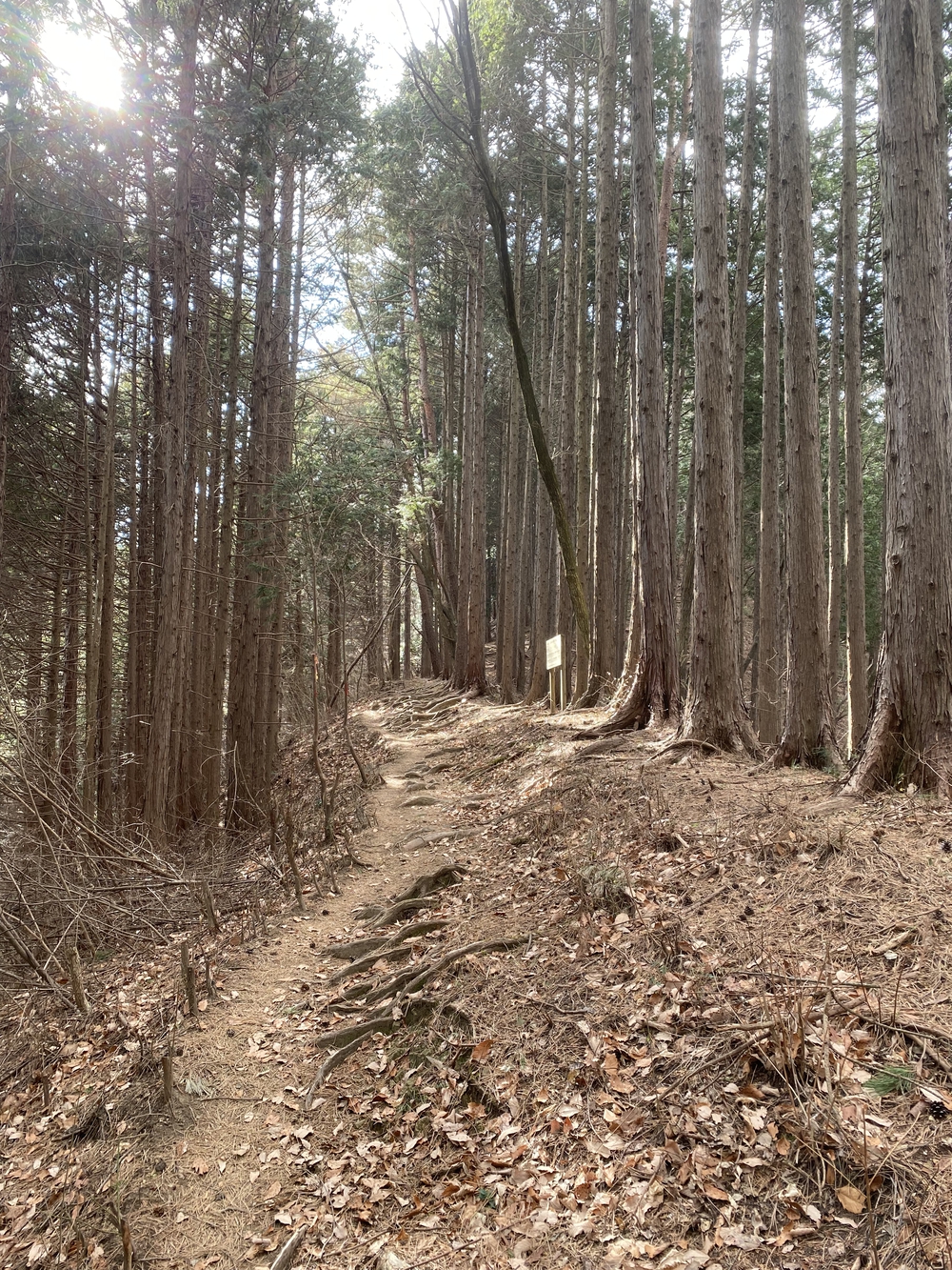 高尾山口駅から北高尾山陵、陣馬山経由で藤野駅の写真7