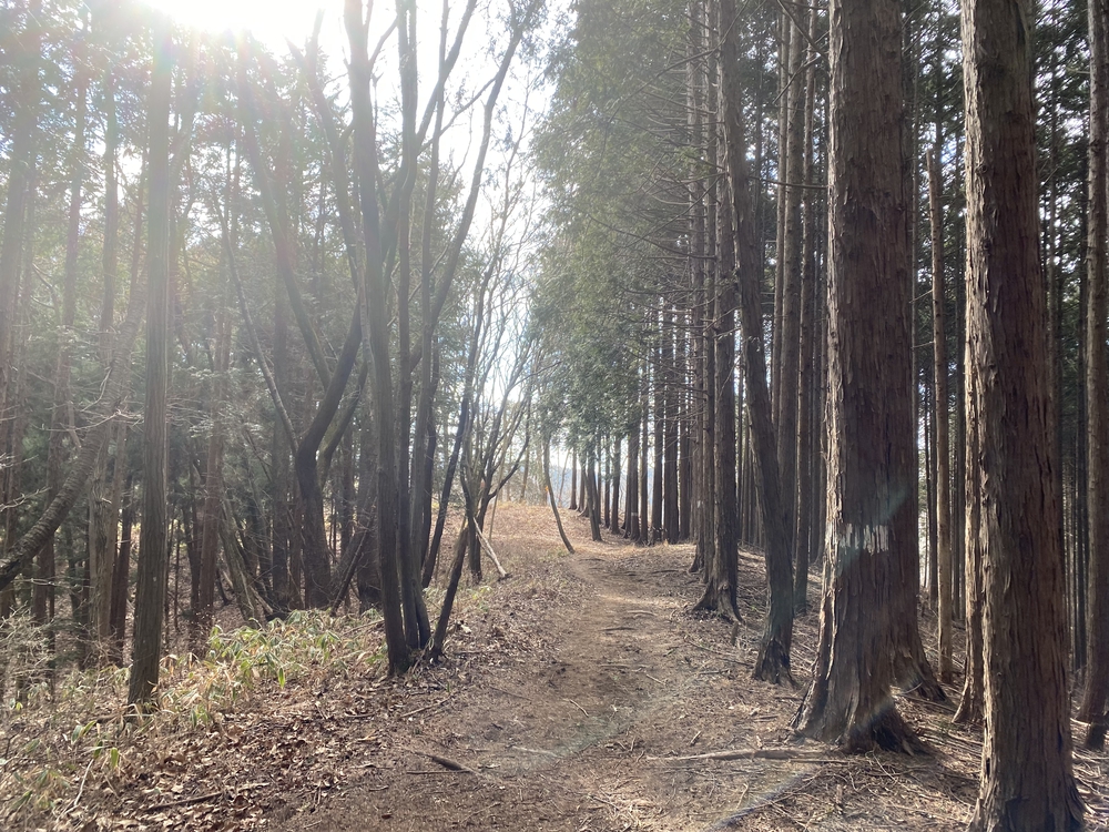 高尾山口駅から北高尾山陵、陣馬山経由で藤野駅の写真8