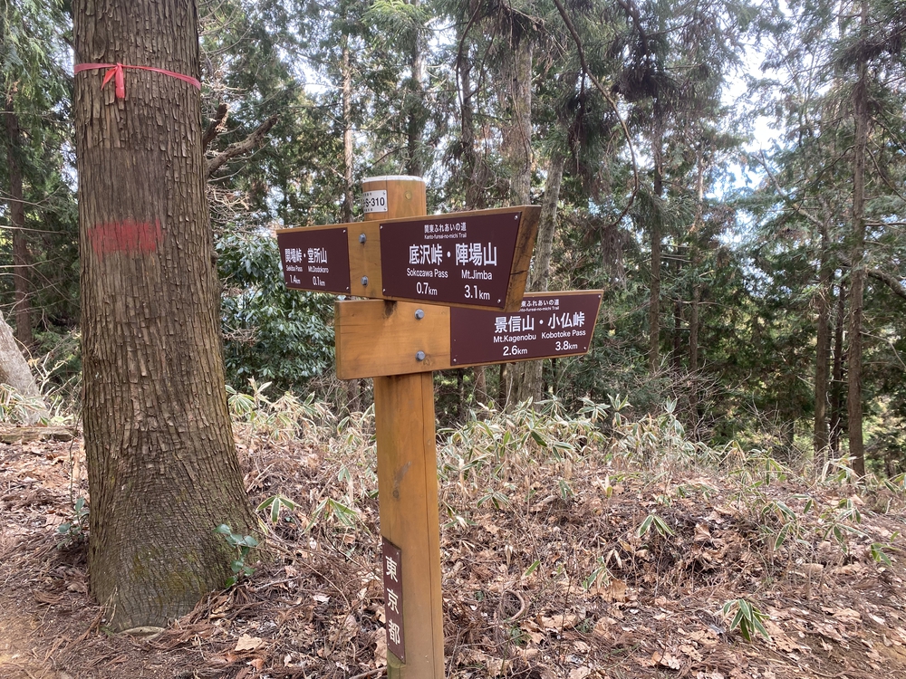 高尾山口駅から北高尾山陵、陣馬山経由で藤野駅の写真9