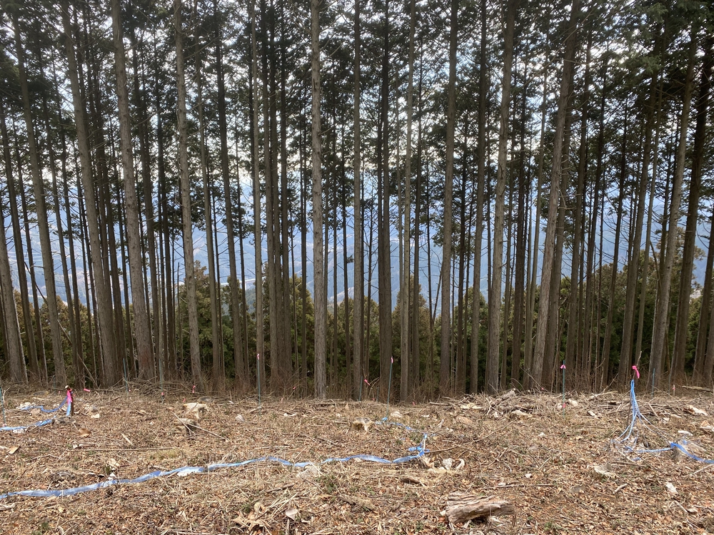 高尾山口駅から北高尾山陵、陣馬山経由で藤野駅の写真10