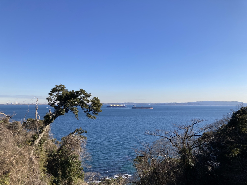 観音崎公園満喫コースの写真4