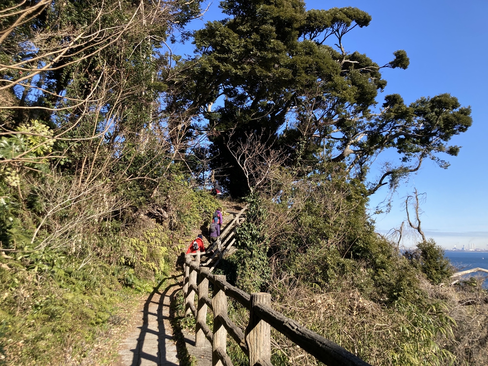 観音崎公園満喫コースの写真5