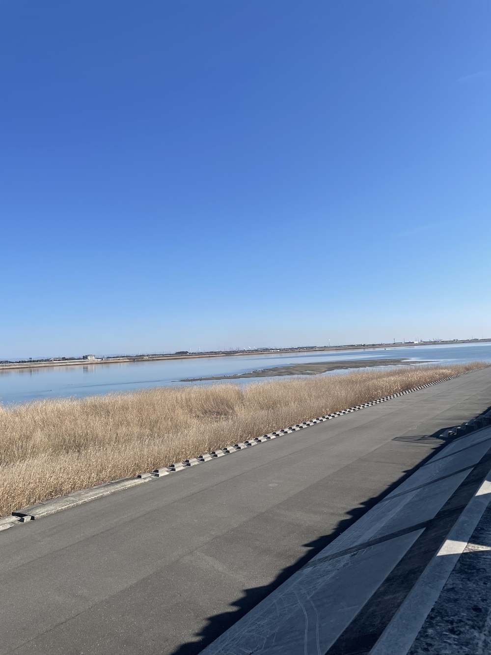 歌川広重と共にRUN 桑名の写真10