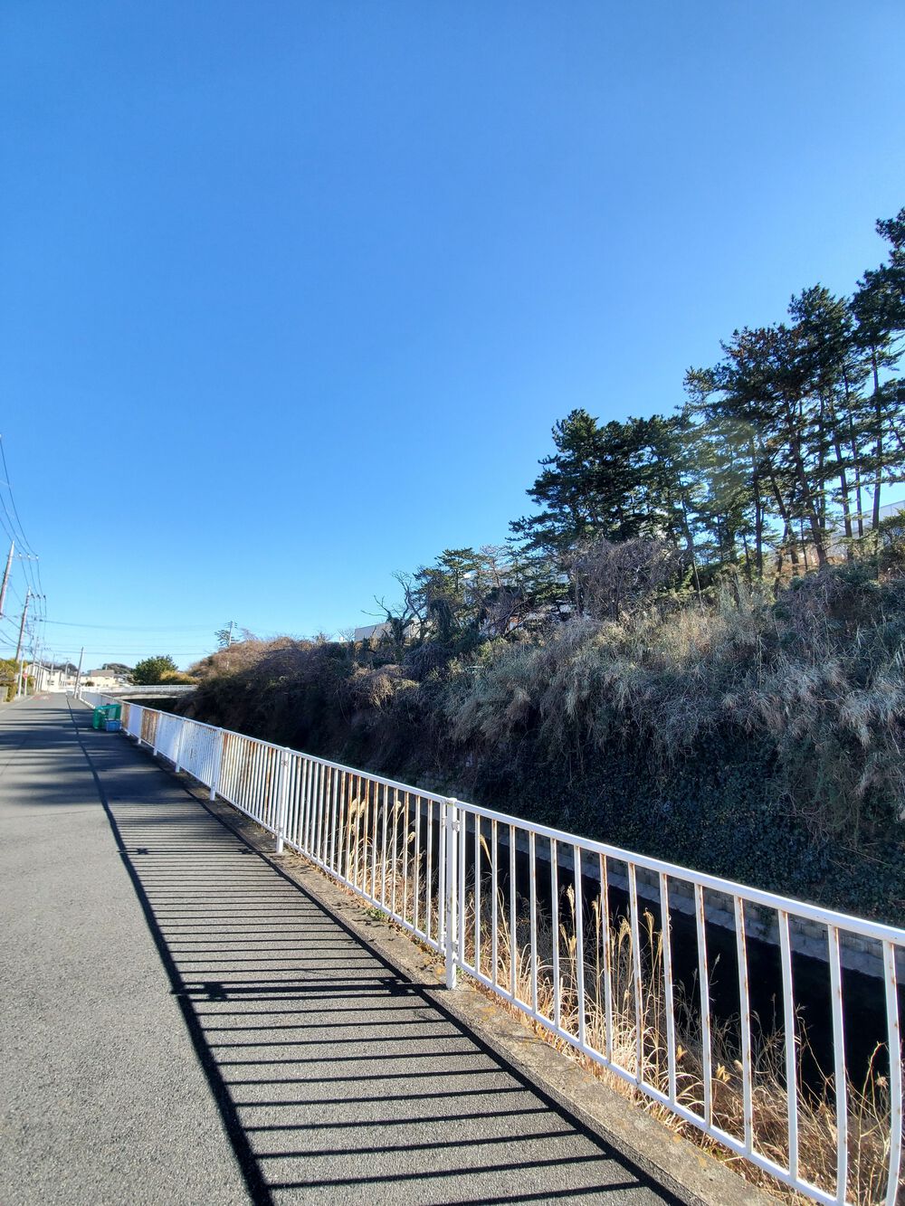 湘南RUN🏃‍♂️🏃‍♀️💨の写真3