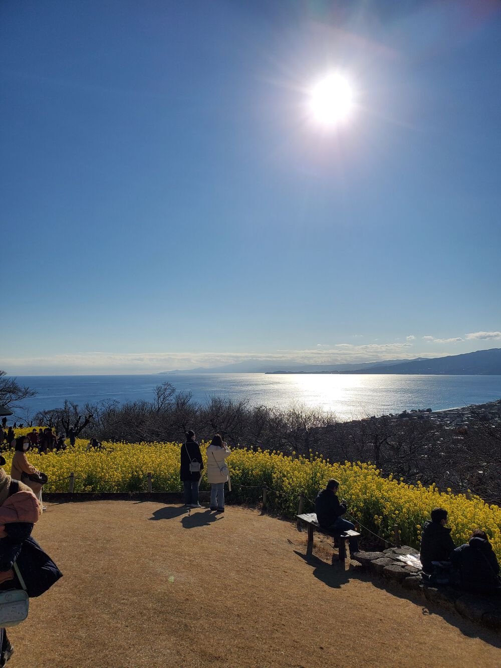 湘南RUN🏃‍♂️🏃‍♀️💨の写真6