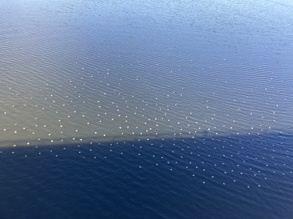 東京メトロ東西線23駅コンプリート❗️の写真7