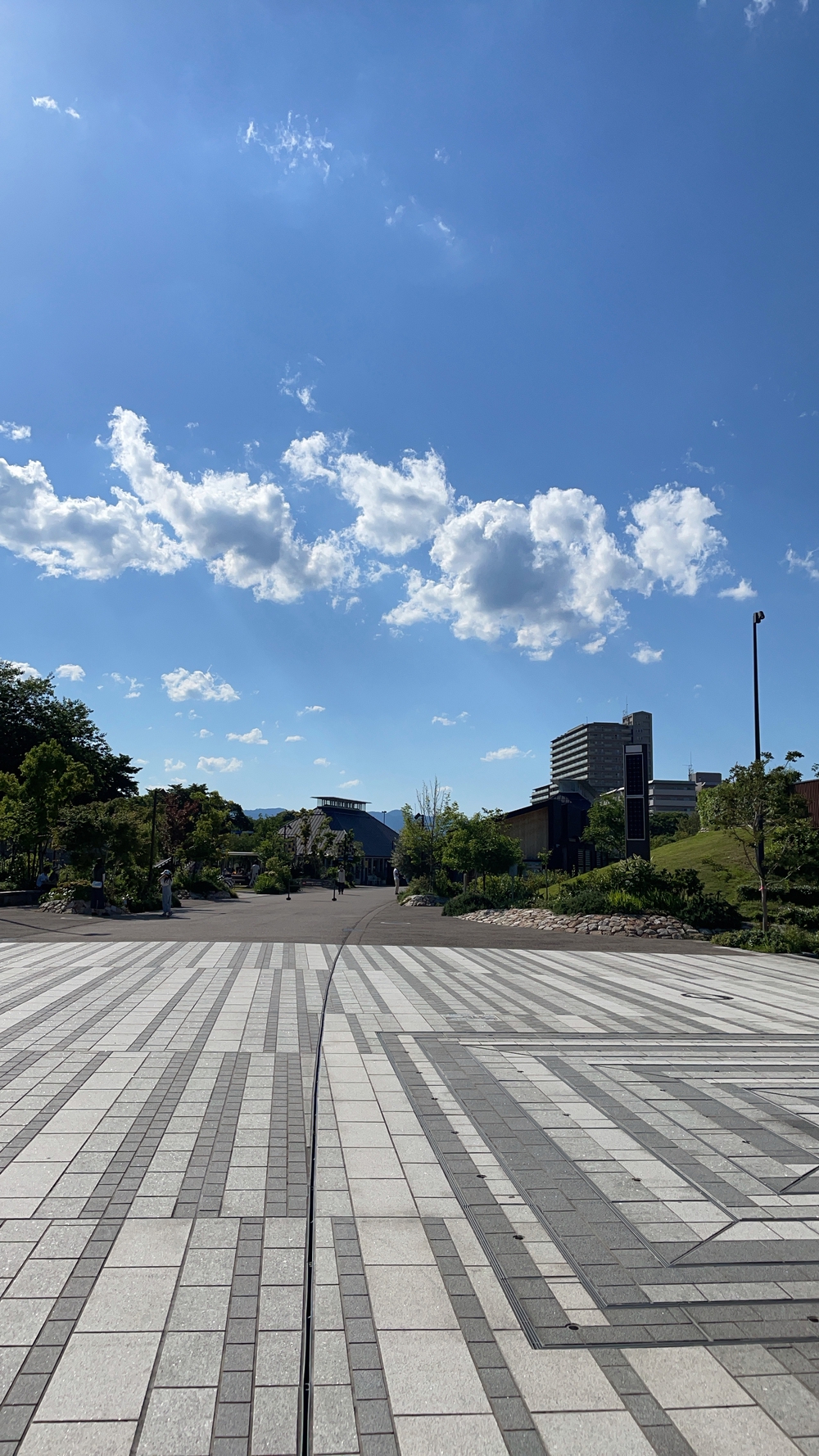 草津川ランの写真3