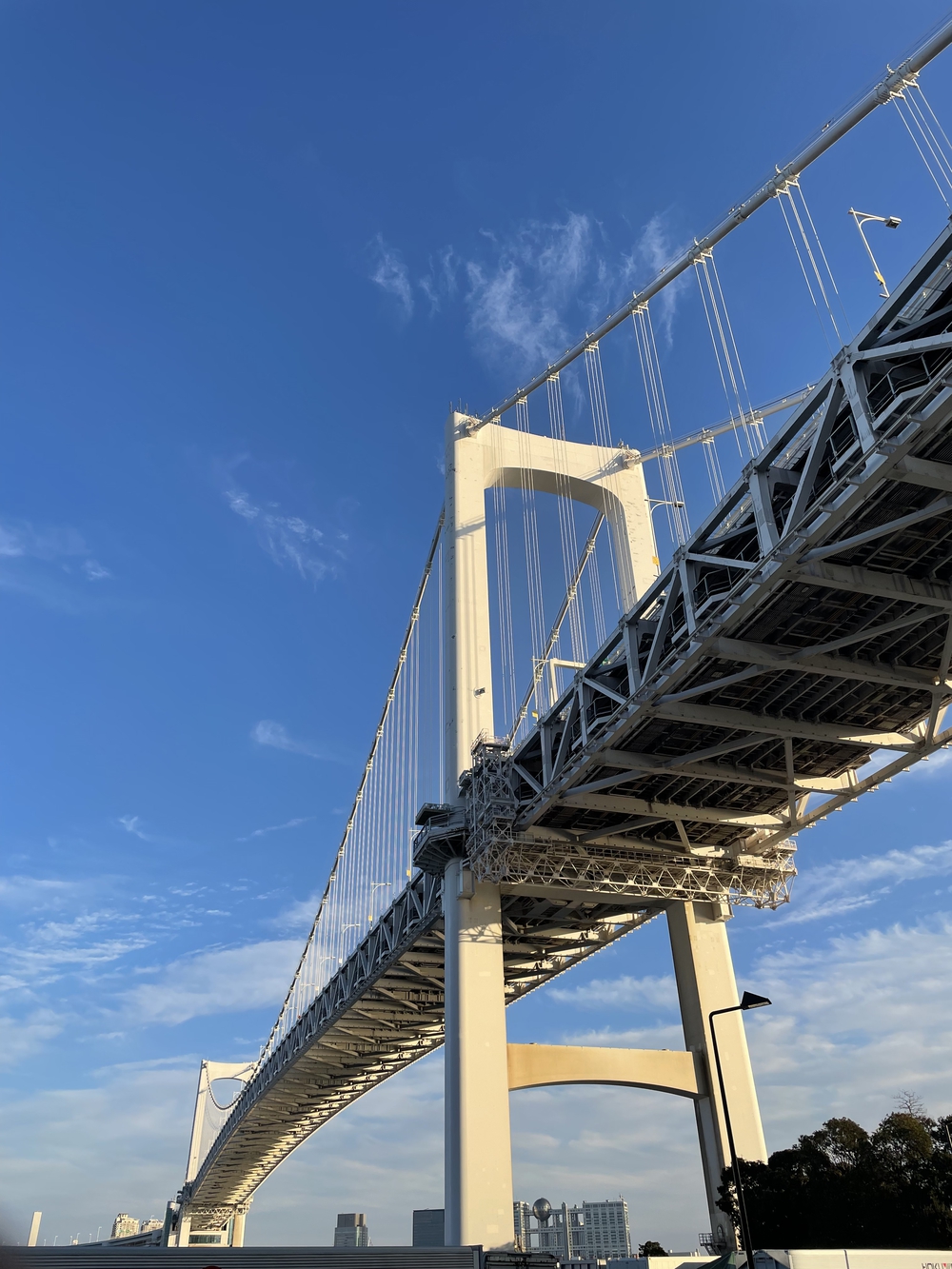 歌川広重と共にRUN レインボーブリッジの写真3