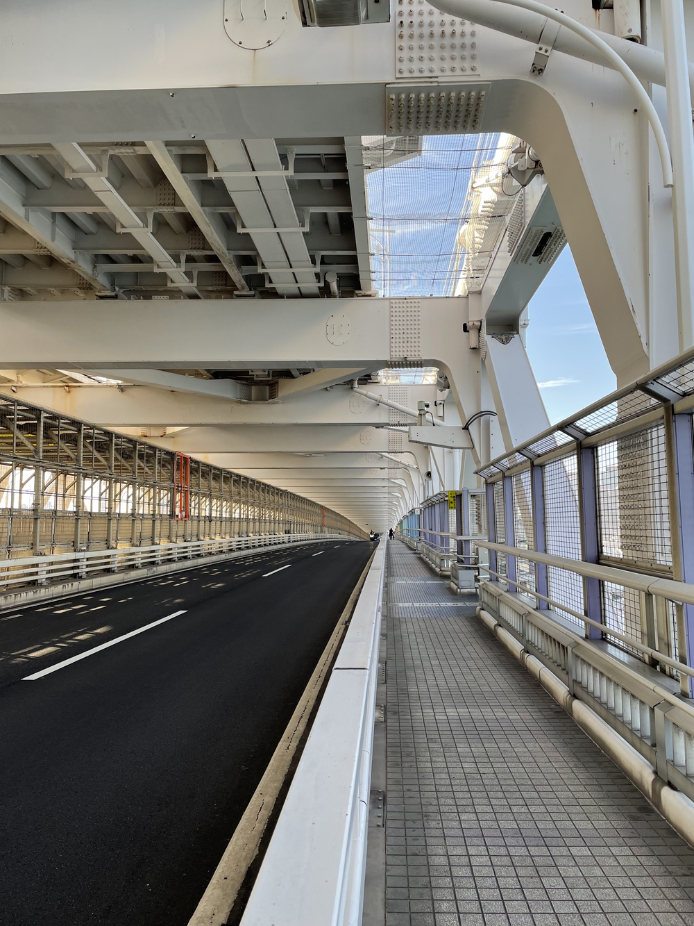 歌川広重と共にRUN レインボーブリッジの写真5