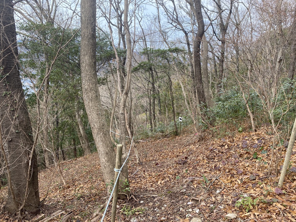 「あらパーク」山から海を望む夕日のきれいなトレイルコースの写真5