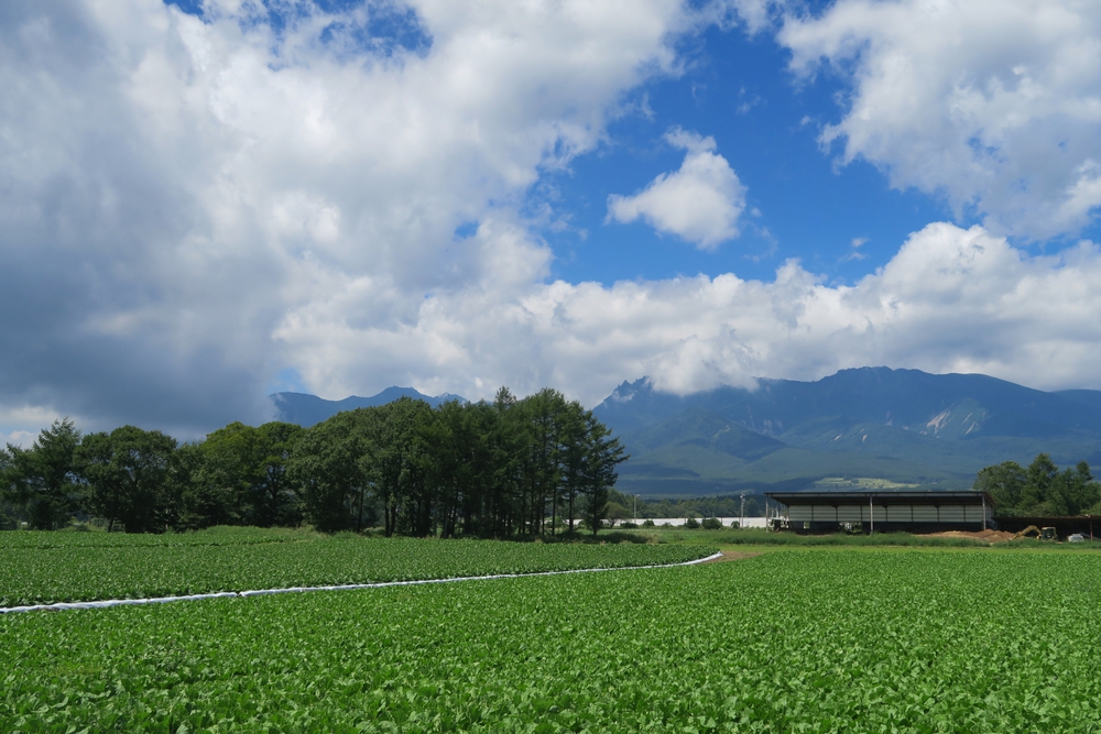 野辺山の天文台とJR鉄道最高地点ランの写真3