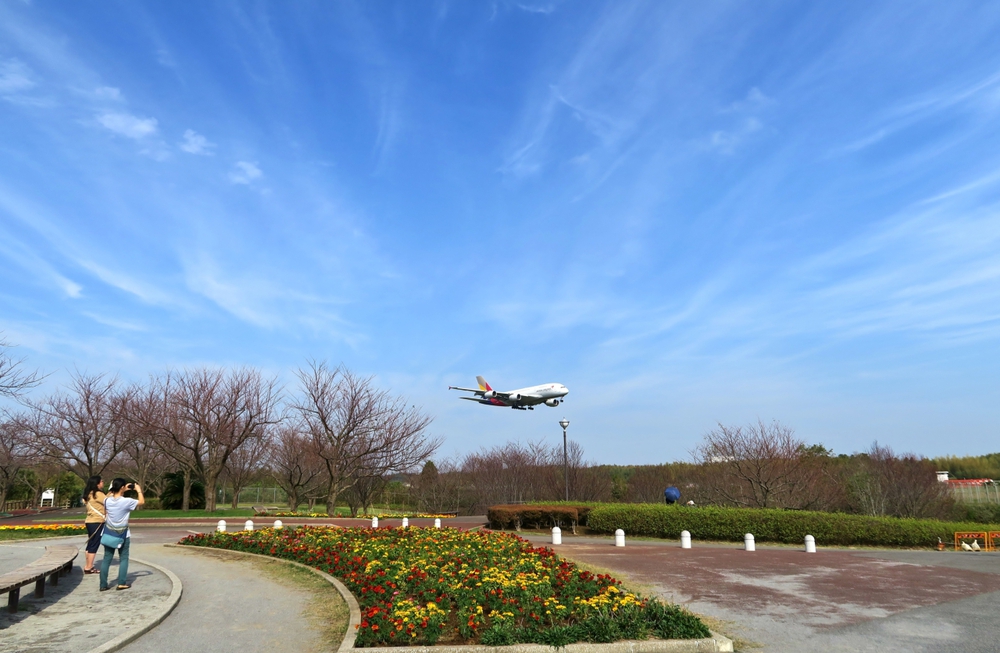 飛行機マニア向けラン（さくらの山からひこうきの丘）の写真3