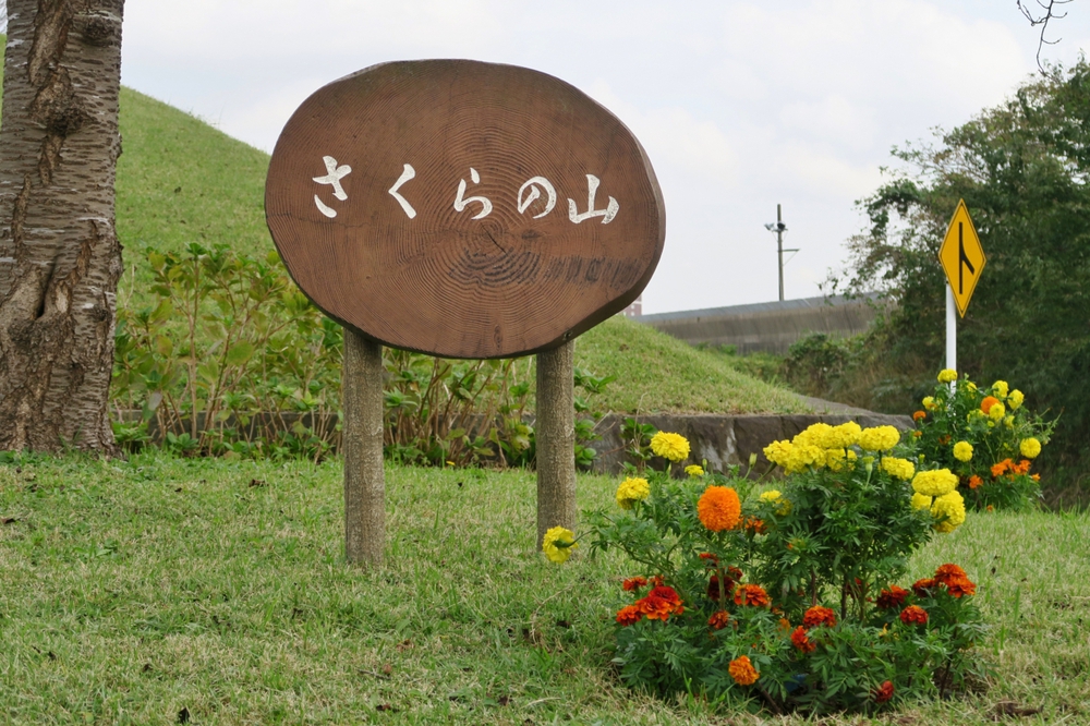 飛行機マニア向けラン（さくらの山からひこうきの丘）の写真4
