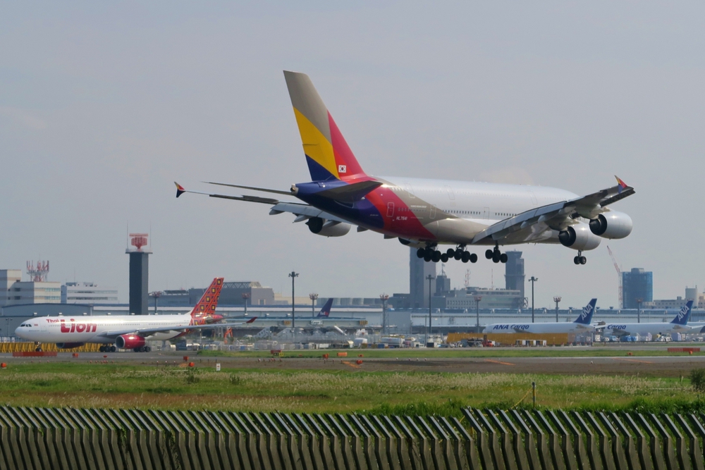 飛行機マニア向けラン（さくらの山からひこうきの丘）の写真6