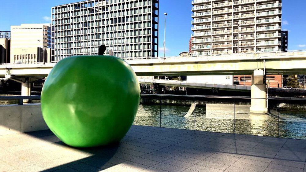 大阪市縦断ウォールアート巡りの写真28