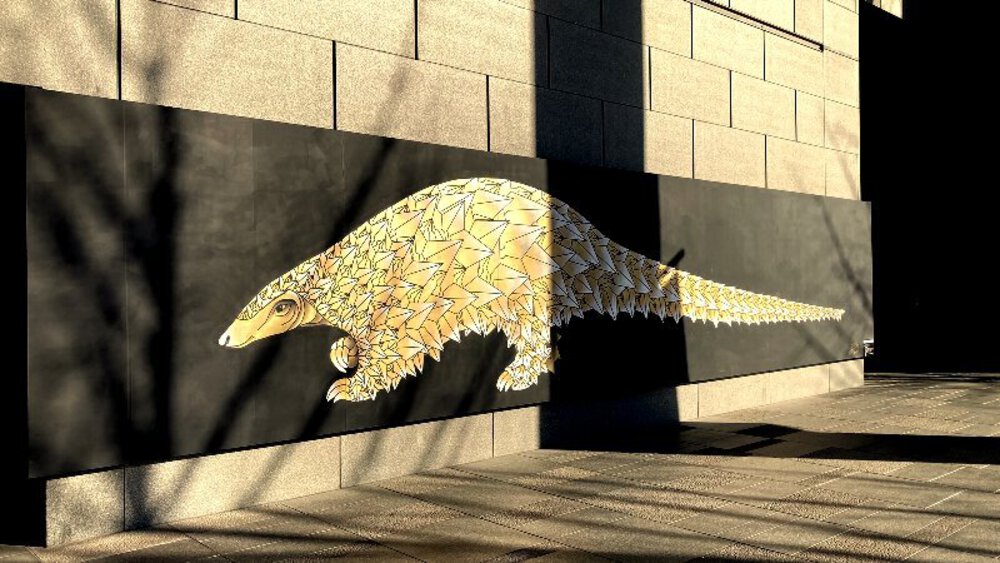 大阪市縦断ウォールアート巡りの写真33