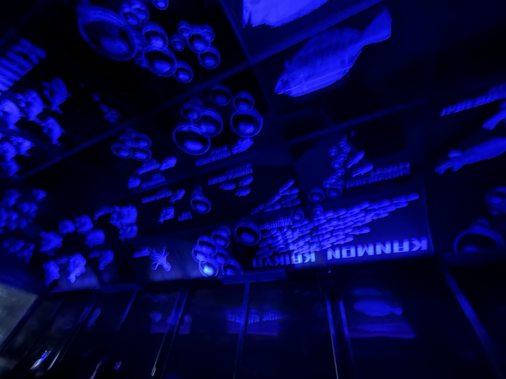 北九州魅力満喫パスポート巡りの写真16