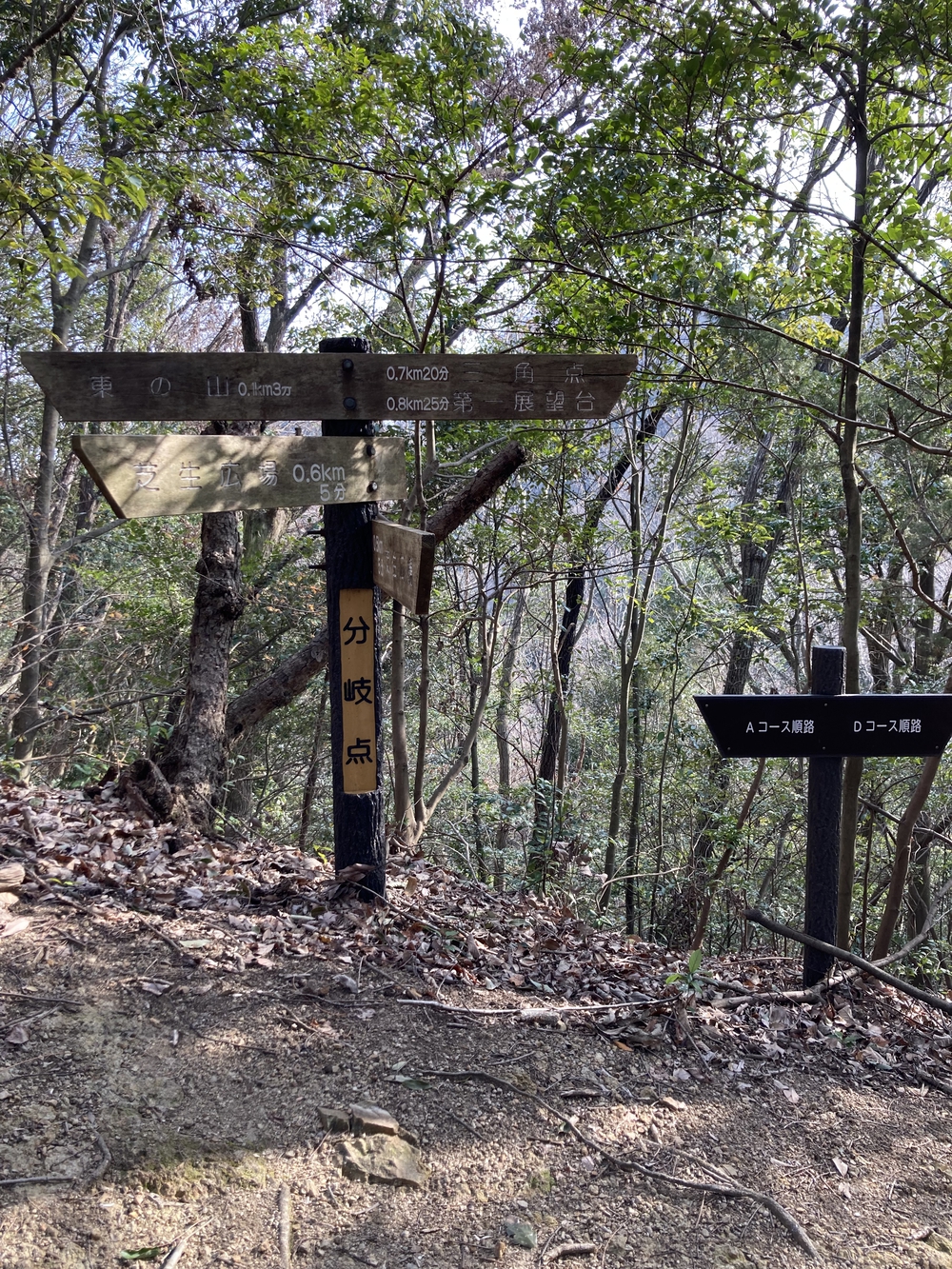 藤ノ木山に登ってきましたの写真4